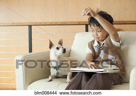 Mixed race boy tempting dog with treat View Large Photo Image Picture - Mixed race boy tempting dog with treat. Fotosearch