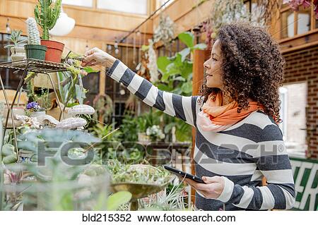 Mixed race employee holding digital tablet in nursery View Large Photo Image Stock Image - Mixed race employee holding digital tablet in nursery. Fotosearch