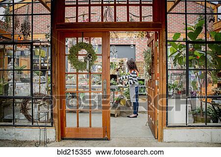 Stock Photography - Mixed race employee working beyond doorway in plant nursery. Fotosearch