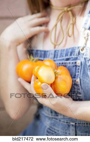 Mixed race farmer carrying fresh tomatoes View Large Photo Image Stock Image - Mixed race farmer carrying fresh tomatoes. Fotosearch