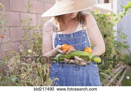 Mixed race farmer gathering vegetables in garden View Large Photo Image Stock Image - Mixed race farmer gathering vegetables in garden. Fotosearch