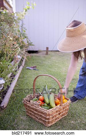 Mixed race farmer gathering vegetables in garden View Large Photo Image Stock Image - Mixed race farmer gathering vegetables in garden. Fotosearch