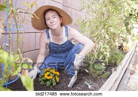 Stock Photography - Mixed race farmer planting flowers in garden. Fotosearch