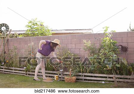 Stock Photograph - Mixed race gardener working in garden. Fotosearch