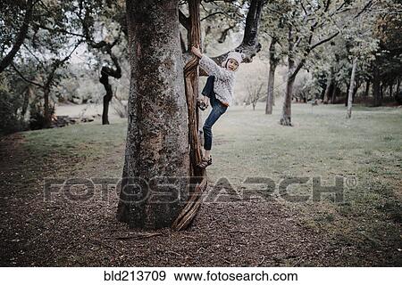 Mixed race girl climbing tree in park View Large Photo Image Stock Photo - Mixed race girl climbing tree in park. Fotosearch