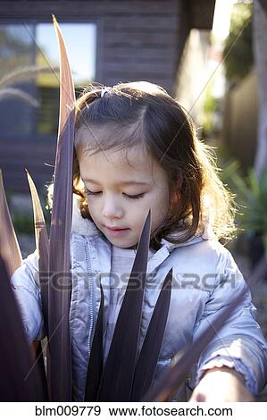 Mixed race girl looking at plant View Large Photo Image Stock Photo - Mixed race girl looking at plant. Fotosearch