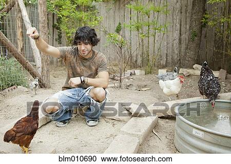 Stock Image - Mixed race man feeding chickens. Fotosearch