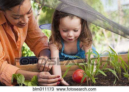 Stock Image - Mixed race mother and daughter tending garden. Fotosearch