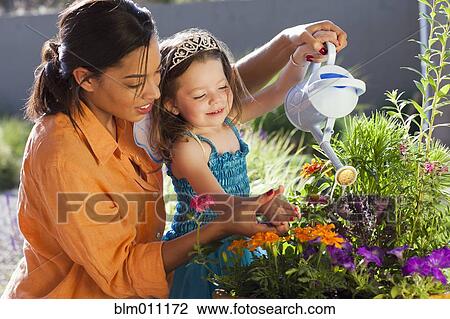 Mixed race mother and daughter watering flowers View Large Photo Image Stock Image - Mixed race mother and daughter watering flowers. Fotosearch
