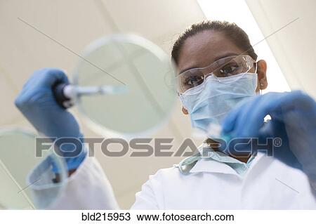 Mixed race scientist pipetting into sample in laboratory View Large Photo Image Stock Image - Mixed race scientist pipetting into sample in laboratory. Fotosearch