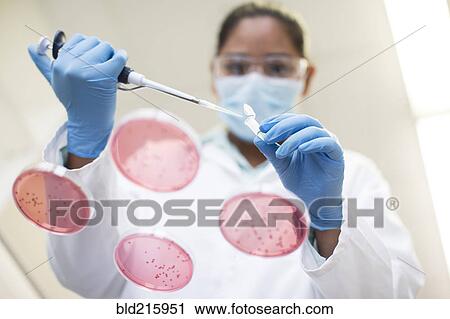Mixed race scientist pipetting sample into test tube in laboratory View Large Photo Image Stock Image - Mixed race scientist pipetting sample into test tube in laboratory. Fotosearch