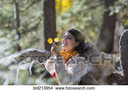 Picture - Mixed race woman admiring autumn leaves in forest. Fotosearch