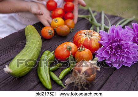 Mixed race woman gathering vegetables and flowers View Large Photo Image Stock Image - Mixed race woman gathering vegetables and flowers. Fotosearch