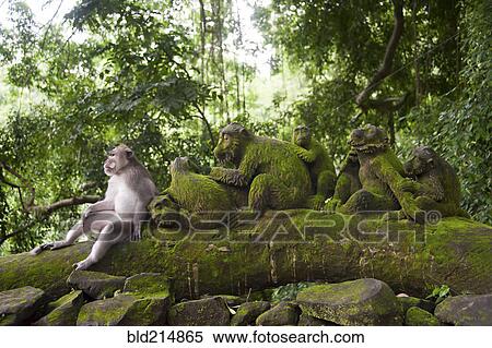Monkey sitting with mossy statues in jungle View Large Photo Image Stock Photography - Monkey sitting with mossy statues in jungle. Fotosearch