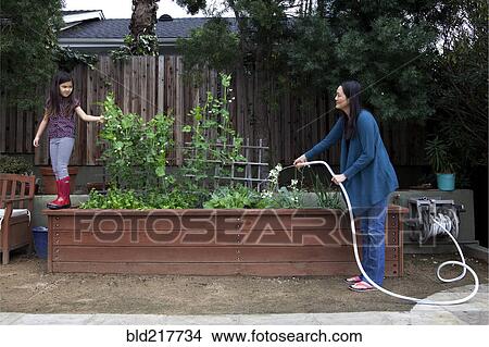 Mother and daughter gardening in backyard View Large Photo Image Picture - Mother and daughter gardening in backyard. Fotosearch