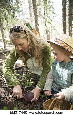 Stock Image - Mother and son foraging for mushrooms in forest. Fotosearch