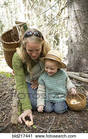Mother and son foraging for mushrooms in forest View Large Photo Image Stock Image - Mother and son foraging for mushrooms in forest. Fotosearch
