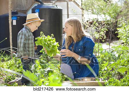 Stock Photograph - Mother and son gardening in backyard. Fotosearch
