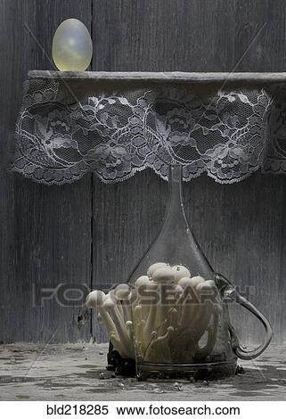 Stock Photography - Mushrooms growing in broken glass pitcher. Fotosearch