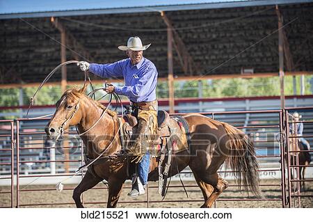 Stock Image - Older Caucasian cowboy throwing lasso at rodeo. Fotosearch
