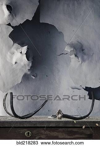 Stock Image - Peeling paint and antlers near dilapidated wall. Fotosearch