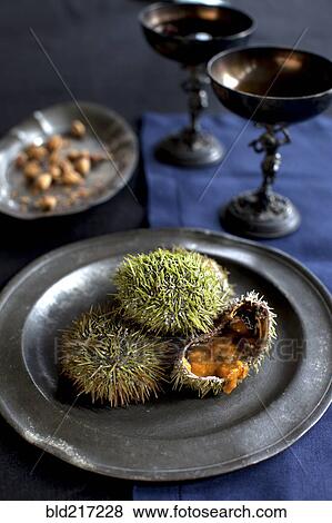 Plate of sea hedgehog on table View Large Photo Image Stock Photo - Plate of sea hedgehog on table. Fotosearch