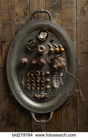 Picture - Platter of dried fruit, wood, plants and string. Fotosearch