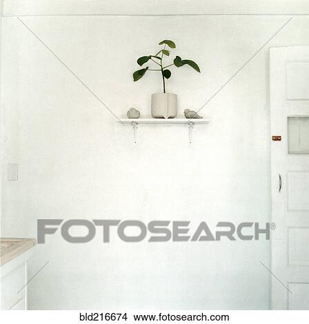 Potted plant on shelf View Large Photo Image Picture - Potted plant on shelf. Fotosearch