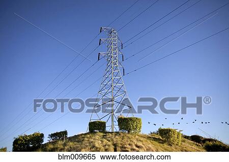 Power line on hilltop View Large Photo Image Stock Photography - Power line on hilltop. Fotosearch