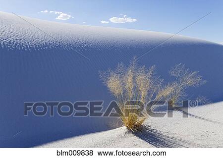 Sand dunes in White Sands National Monument View Large Photo Image Stock Photo - Sand dunes in White Sands National Monument. Fotosearch