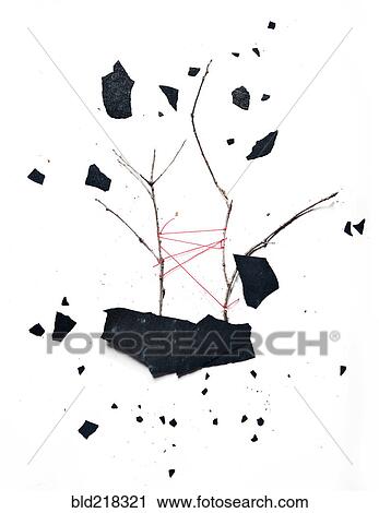 Scattered debris and tied branches View Large Photo Image Stock Image - Scattered debris and tied branches. Fotosearch