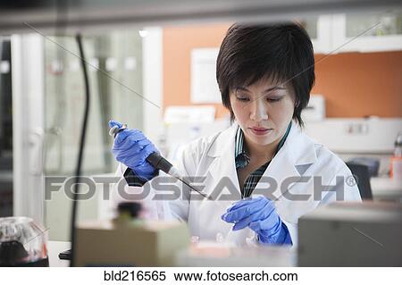 Scientist pipetting liquid into test tube in laboratory View Large Photo Image Stock Photography - Scientist pipetting liquid into test tube in laboratory. Fotosearch