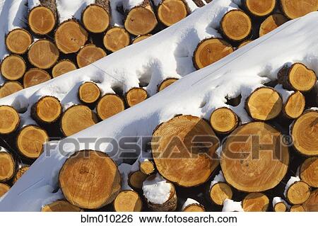 Stock Photograph - Snow covered firewood. Fotosearch