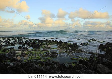 Tide pools and ocean View Large Photo Image Picture - Tide pools and ocean. Fotosearch