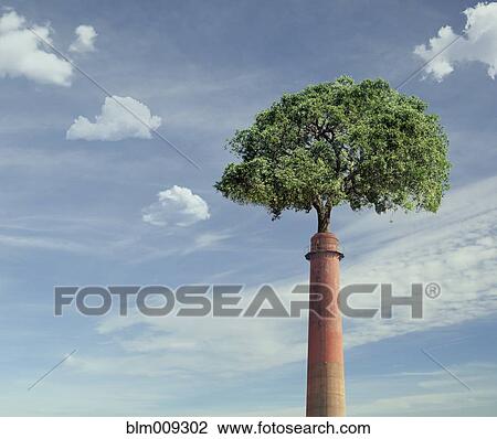 Tree growing from smoke stack View Large Photo Image Stock Image - Tree growing from smoke stack. Fotosearch