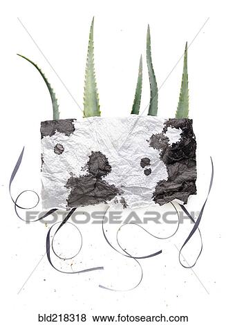 Stock Photo - Watercolor napkin over plant leaves. Fotosearch