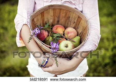 Stock Image - Woman carrying bucket of apples in field. Fotosearch