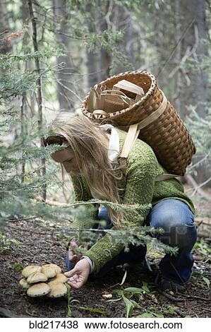 Woman foraging for mushrooms in forest View Large Photo Image Stock Photo - Woman foraging for mushrooms in forest. Fotosearch