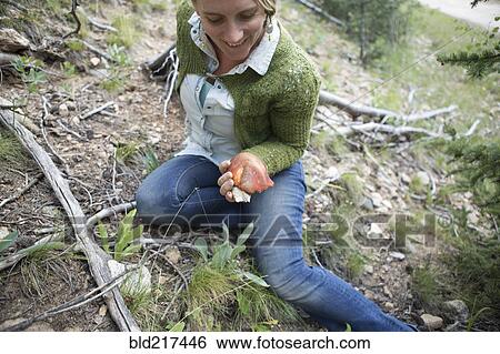 Woman foraging for mushrooms in forest View Large Photo Image Stock Photograph - Woman foraging for mushrooms in forest. Fotosearch