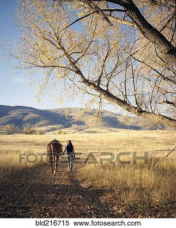 Woman leading horse on dirt path View Large Photo Image Stock Photography - Woman leading horse on dirt path. Fotosearch