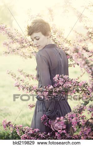 Woman standing in flowering trees View Large Photo Image Stock Photo - Woman standing in flowering trees. Fotosearch