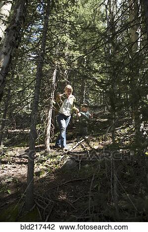 Woman walking on forested hillside View Large Photo Image Stock Image - Woman walking on forested hillside. Fotosearch