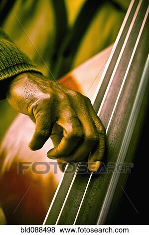 Stock Photo - Black musician playing double bass. Fotosearch