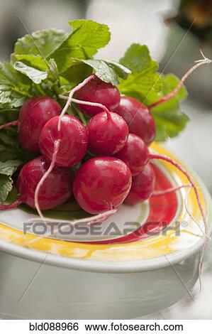 Stock Photograph - Bunch of radishes. Fotosearch