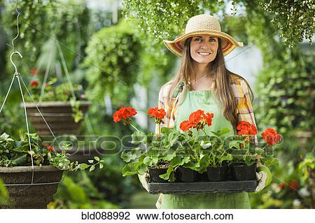 Stock Image - Caucasian woman carrying tray of flowers. Fotosearch