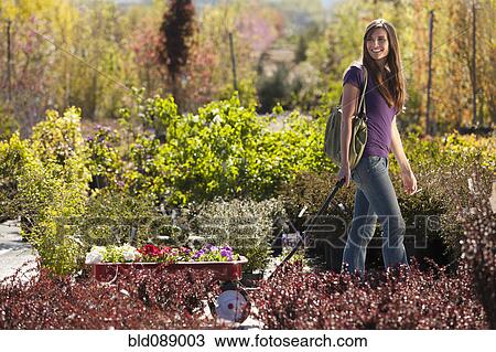 Caucasian woman pulling wagon in plant nursery View Large Photo Image Stock Image - Caucasian woman pulling wagon in plant nursery. Fotosearch
