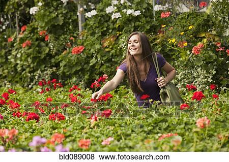 Stock Photo - Caucasian woman shopping for flowers in plant nursery. Fotosearch