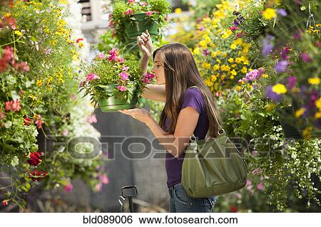 Caucasian woman smelling flowers in plant nursery View Large Photo Image Stock Photograph - Caucasian woman smelling flowers in plant nursery. Fotosearch