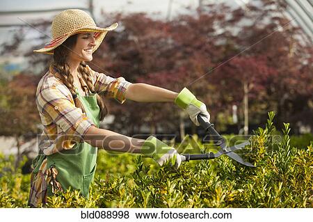 Stock Photo - Caucasian woman trimming bush in plant nursery. Fotosearch