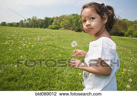 Girl walking in field with dandelion flower View Large Photo Image Stock Image - Girl walking in field with dandelion flower. Fotosearch